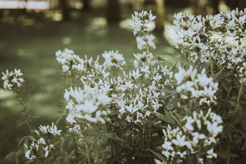 dokumentaarinen_hääkuvaus_helsinki-29