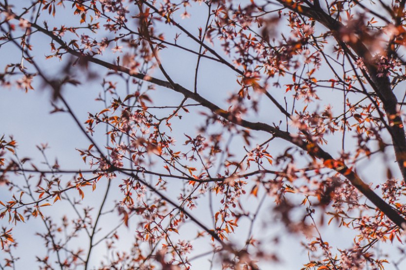 kihlakuvaus_helsinki-2