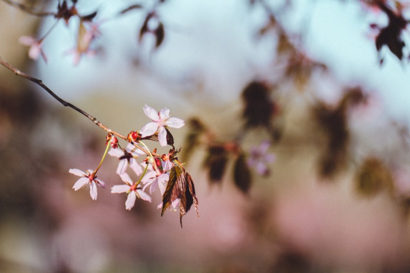 kihlakuvaus_helsinki-3