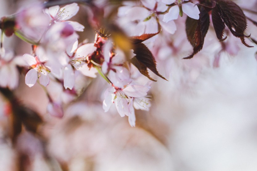 kihlakuvaus_helsinki